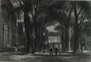 Image description is not available for DU1946.159